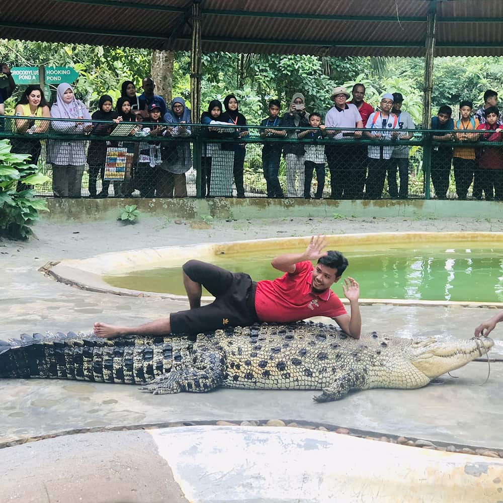Crocodile Adventureland Langkawi